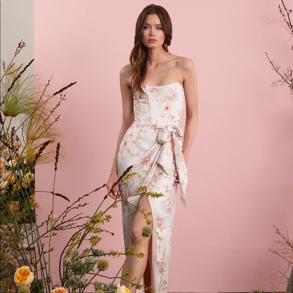 The June Dress in Pink Rose Print V Chapman - Picture 5 of 6